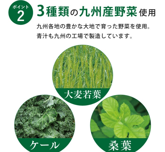 GABA青汁の説明の図３　3種類の九州産野菜の説明